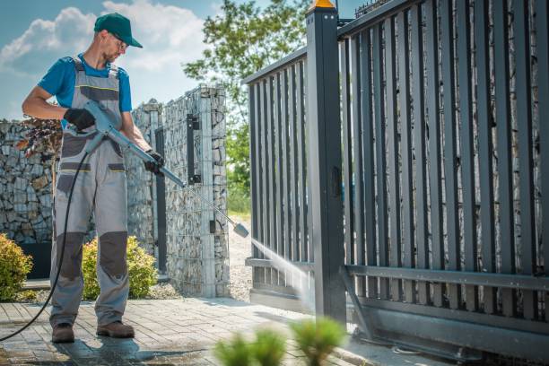 Best Roof Washing  in Hailey, ID