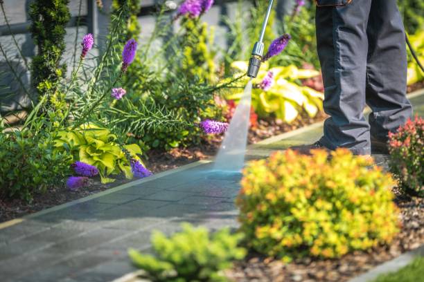 Best Pool Deck Cleaning  in Hailey, ID